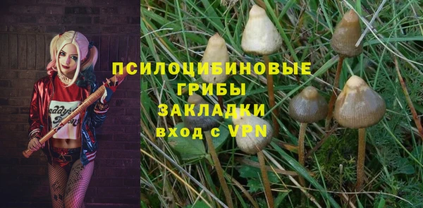Альфа ПВП Армянск