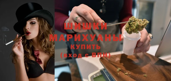 твердый Арсеньев