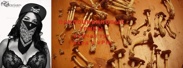 гашишное масло Аркадак