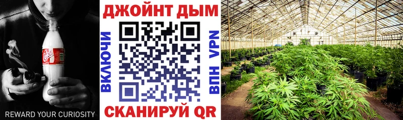 Каннабис White Widow  Узловая 